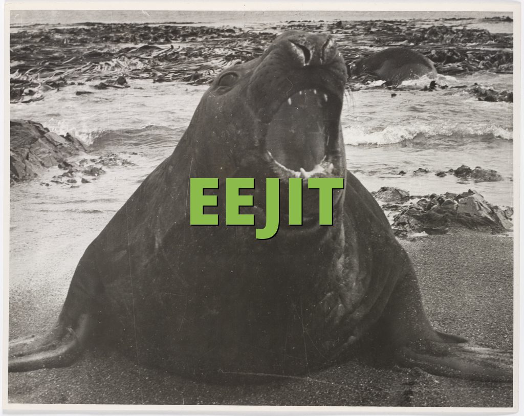 Image result for eejit